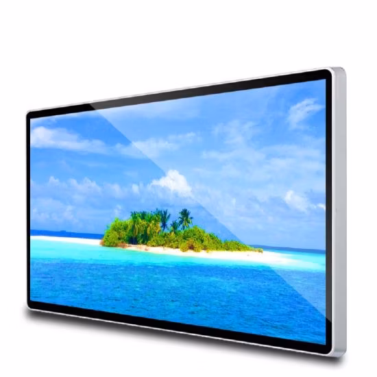 An der Wand befestigter ursprünglicher transparenter OLED-Bildschirm Digital Signage-Preise, der LED-Bildschirm annonciert